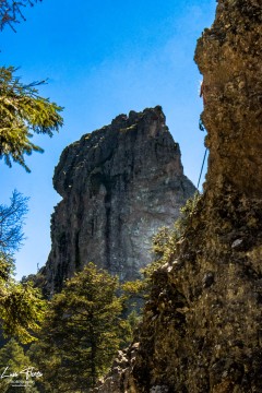 Miniatura de la foto