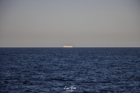 Miniatura de la foto