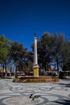 Miniatura de la foto