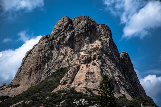 Miniatura de la foto