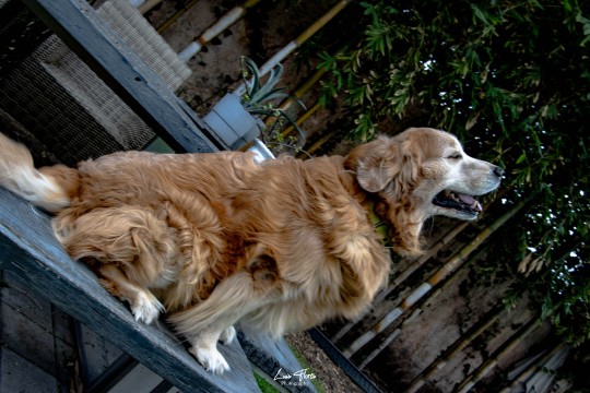 Miniatura de la foto