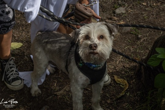 Miniatura de la foto