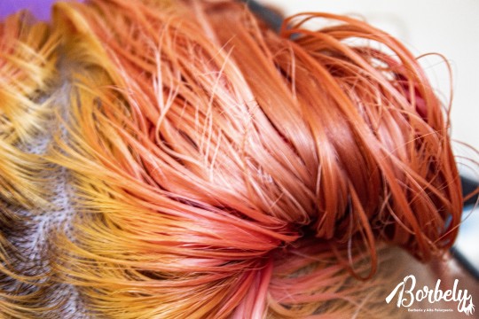 Miniatura de la foto