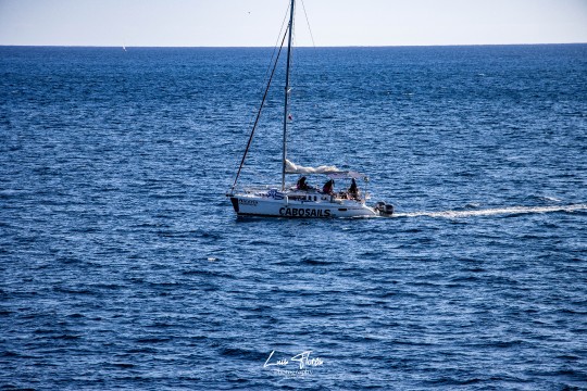 Miniatura de la foto