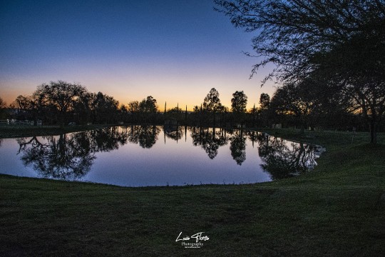 Miniatura de la foto