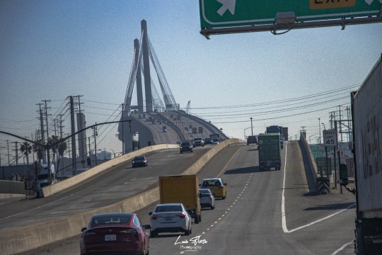 Miniatura de la foto