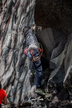 Miniatura de la foto