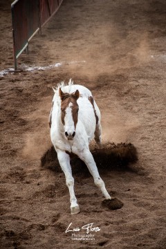 Miniatura de la foto
